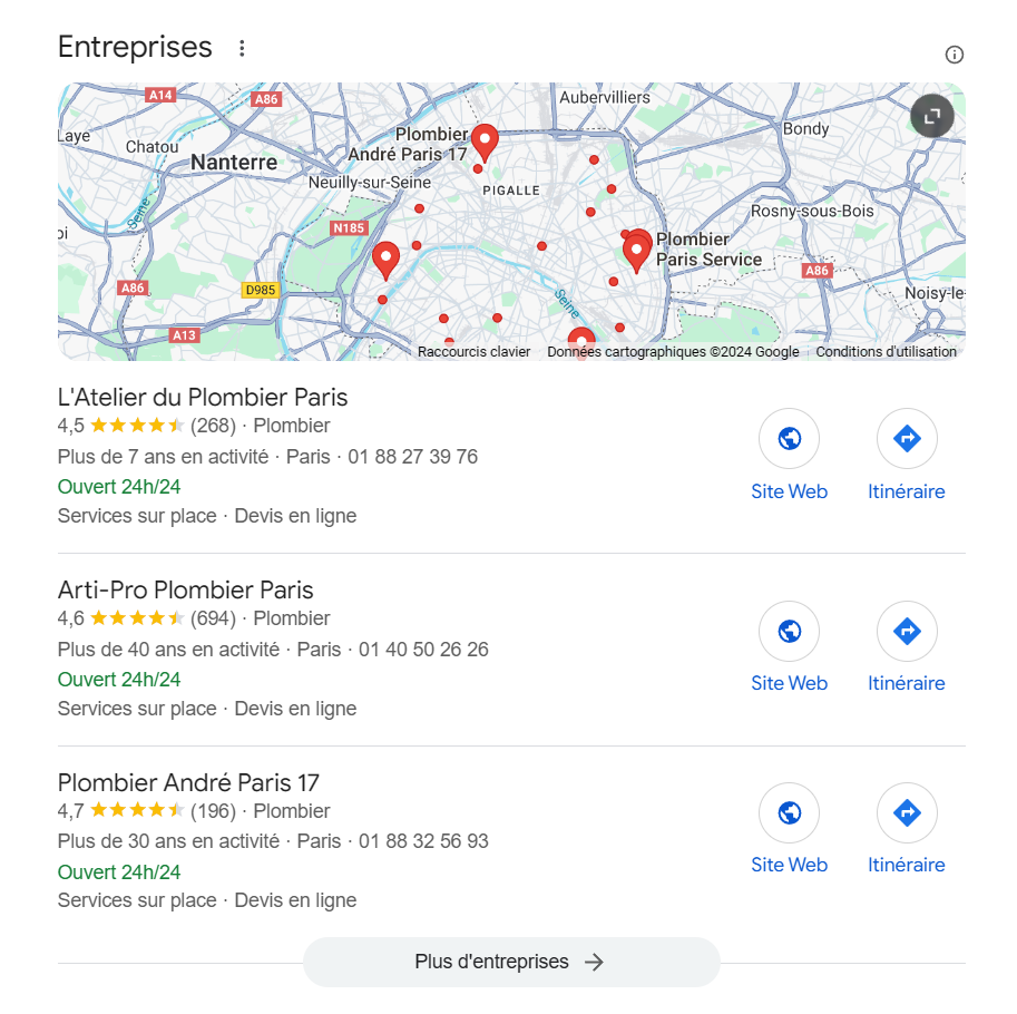 Exemple des résultats de la fiche google business pour la requête 
